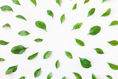 Frame made of green leaves. Flat lay, top view