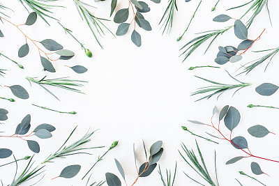 Frame made of carnation flowers and eucalyptus branches. Flat lay