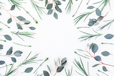 Frame made of carnation flowers and eucalyptus branches. Flat lay