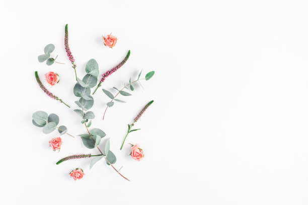 Rose flowers and eucalyptus branches. Flat lay, top view