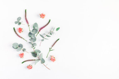 Rose flowers and eucalyptus branches. Flat lay, top view