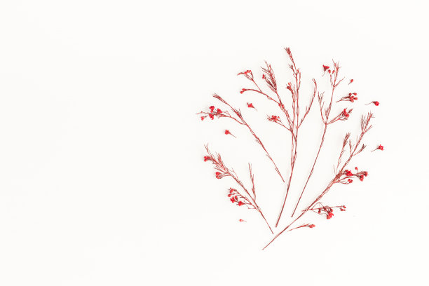Tree made of autumn red flowers. Flat lay, top view