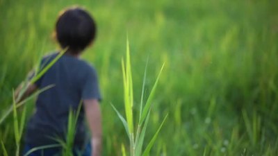 SloMo小男孩在高高的草地上跑步，背光亮着。
