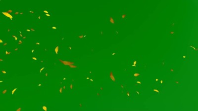 Autumn Leafs Flying, Chroma Key