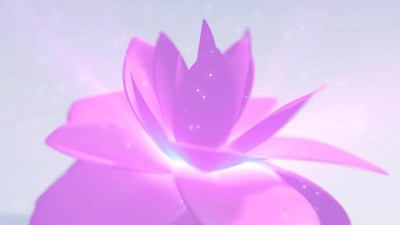 粉红色花卉背景