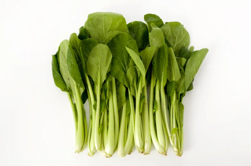 小松菜日本 小松菜日本图片 小松菜日本素材下载 稿定素材