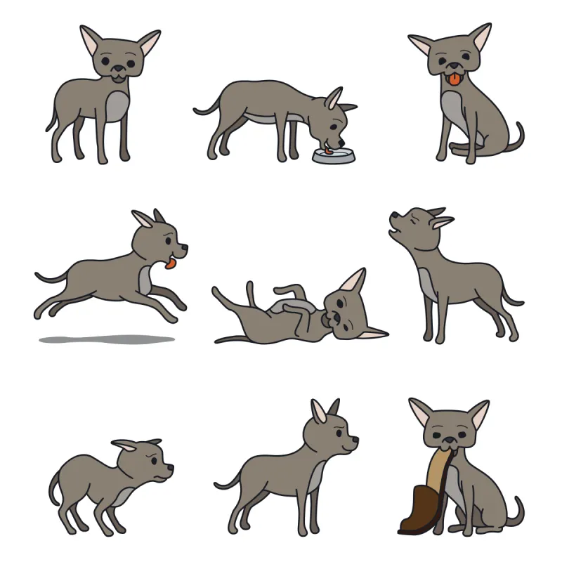 狗 性格 卡通 华丽的 纯种犬 背景分离 简单 哺乳纲 哈巴狗图片素材下载 稿定素材