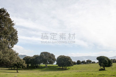 科西嘉,瓦林科海湾,自然,草地,宁静,水平画幅,枝繁叶茂,无人,草原,偏远的