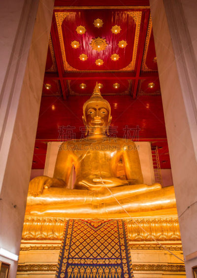大城省,金佛寺,巨大的,帕西桑波特寺院,大城,垂直画幅,建筑师,黄金,佛,雕塑