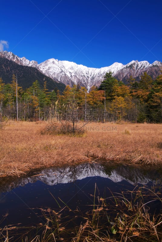 苏格兰高地,旷野,中部山岳国立公园,飞驒山脉,长野县,自然,垂直画幅,天空,美,里山