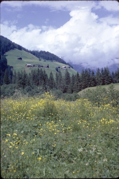 hintertux glacier,上阿迪杰,垂直画幅,天空,云,山,档案,无人,夏天,户外