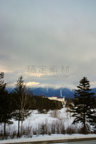 树林,垂直画幅,公园,雪,无人,户外,美洲,冬天,山