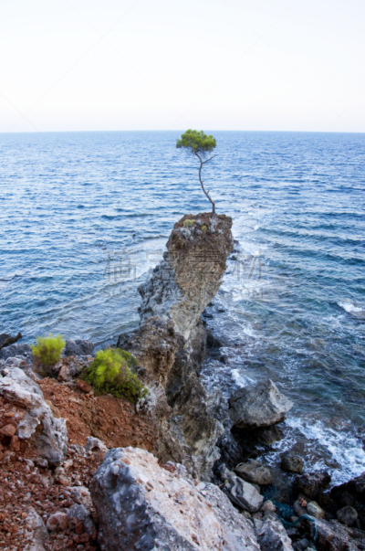 松树,岩石,海洋,lone cypress tree,芒格努伊山,大苏尔,里,柏树,垂直画幅,水