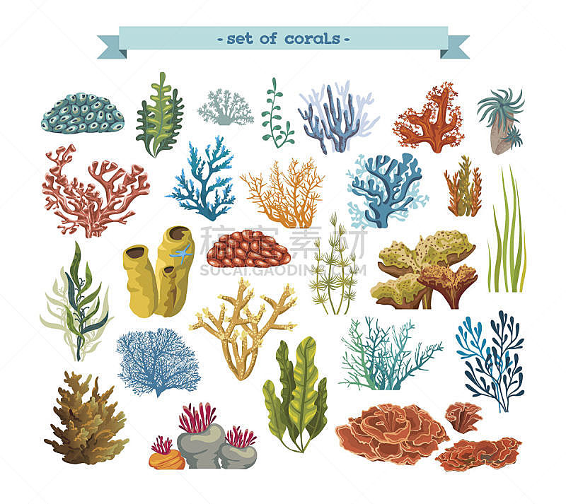 珊瑚,海草,礁石,海藻灰,无人,绘画插图,水下,卡通,部分,植物