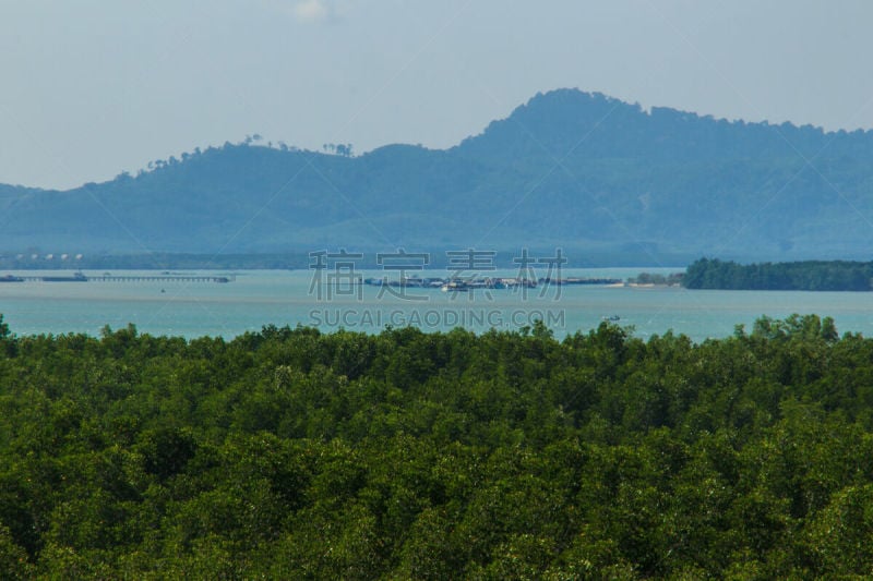 红树林,泰国,常绿树,风景,地形,普吉岛,斗篷,自然美,森林,旅游