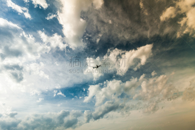 明亮,飞机,天空,喷气式飞机,空中客车a320,货机,卷云,高视角,半空中,白色