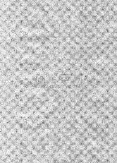 纹理,垂直画幅,美术效果,捷克,2015年,笔形海胆,刷状缘,摄影