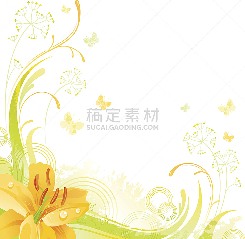 留白,仅一朵花,百合花,黄色,背景,正方形,美,边框,芳香的,水平画幅
