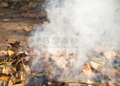 叶子,烟,哈萨克斯坦,黄色,草地保龄球,白昼,希思罗机场,风景线拱,图像