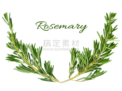 边框,迷迭香,表格,韧带,芳香的,水平画幅,素食,生食,标签,组物体