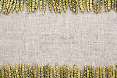 纺织品,自然,小麦,背景,亚麻布,美,水平画幅,夏天,草,面包