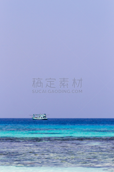 鱼类,古老的,渔船,接力赛,专业人员,斯米兰群岛,潜水镜,塔西提岛,珊瑚色,垂直画幅