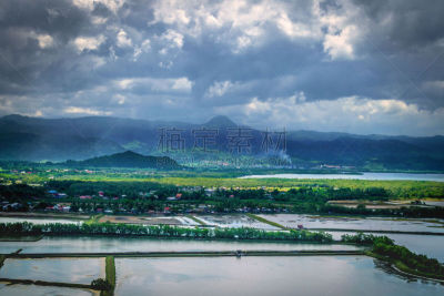 风景,农业,云景,自然界的状态,环境,云,草,自然美,稻田,湖