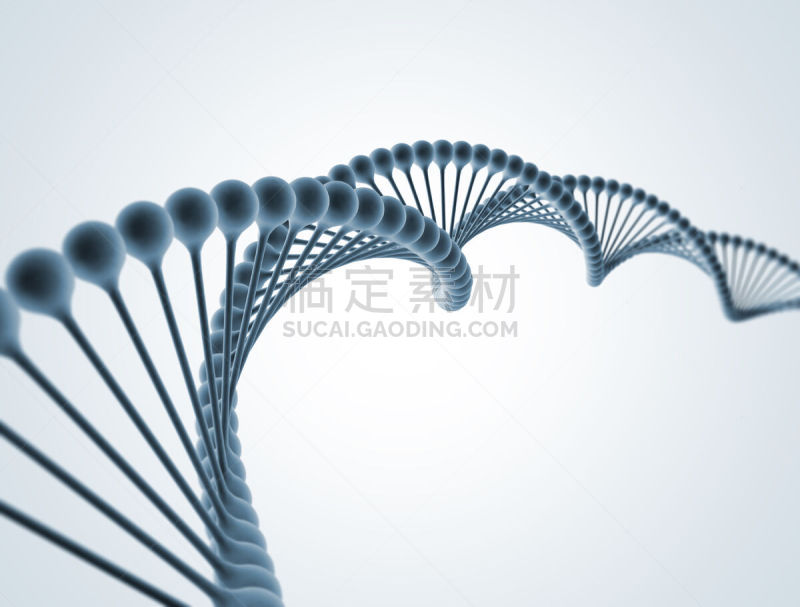分子结构,脱氧核糖核酸,螺旋模型,选择对焦,留白,生物科技,水平画幅,形状,微生物学,无人
