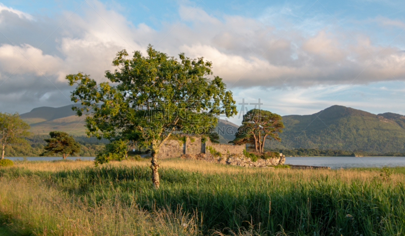 白昼,lough leane,克俐环,紧迫,爱尔兰共和国,城堡,麦卡锡,基拉尼,日落,树