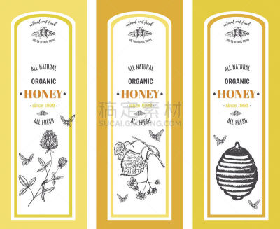 蜂蜜,蓟,beekeeper,养蜂,蜂箱,农业,清新,背景分离,面包,食品
