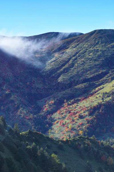 秋天,风景,苏格兰高地,滋贺县,长野县,云,日本落叶松,白桦树,著名景点,植物