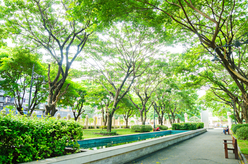 风景,格林公园,城市,自然,太空,水平画幅,嫩枝,有机食品,夏天,户外