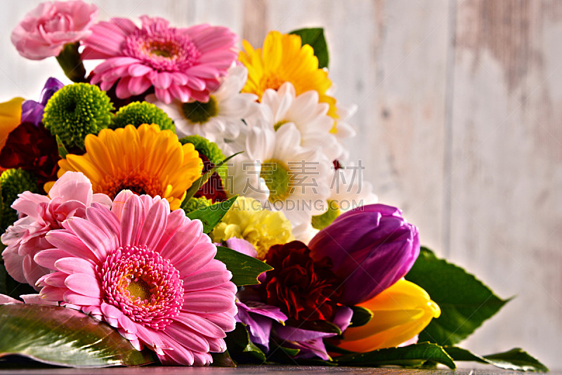 花束,非洲雏菊,花卉商,仅一朵花,雏菊,生日,花头,多样,情人节,水平画幅