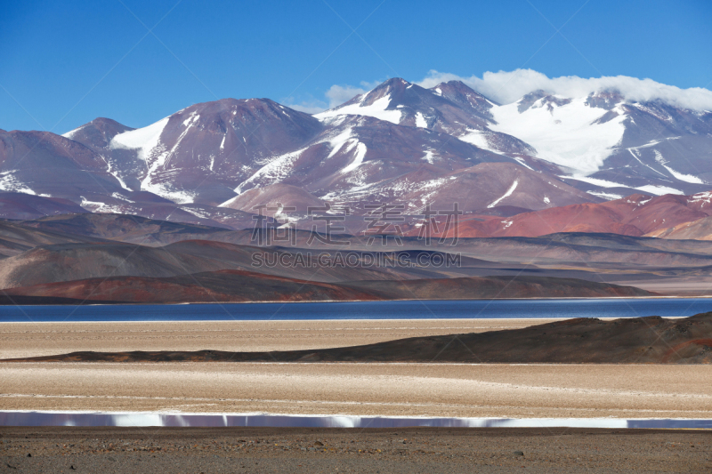 阿根廷,泻湖,火山,黑色,水平画幅,沙子,雪,无人,鸟类,户外