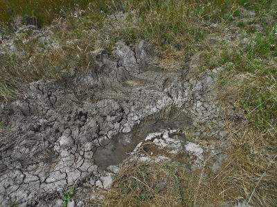 轮胎印,水坑,泥土,深的,泥,地下水,水,式样,水平画幅,形状