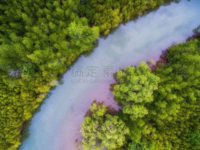 红树林,在上面,绿色,蓝色,看风景,红河,水,水平画幅,高视角,无人