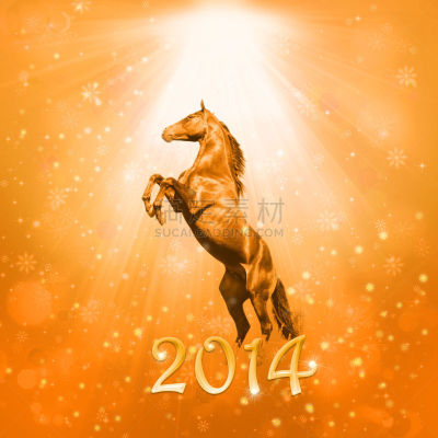 新年前夕,马,阳光光束,马年,冬天,无人,2014年,雪花,方形画幅,摄影
