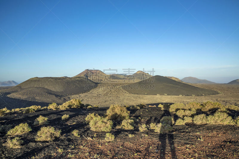 timanfaya national park,兰萨罗特岛,火山地形,洛杉矶,加那利群岛,自然,有蔓植物,旅游目的地,水平画幅,地形