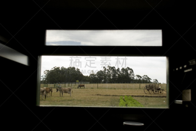 punta del este,南美,非都市风光,旅游目的地,水平画幅,无人,乌拉圭,户外,拉丁美洲,农场