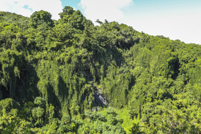风景,地形,雨林,夏威夷,毛伊岛,水,枝繁叶茂,夏天,山脊,雨