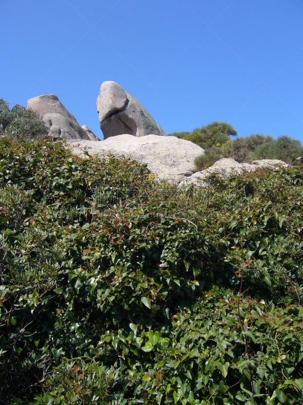 岩石,泰斯塔角,意大利,植物群,圣特雷莎加卢拉,地中海,花岗岩,垂直画幅,天空,休闲活动