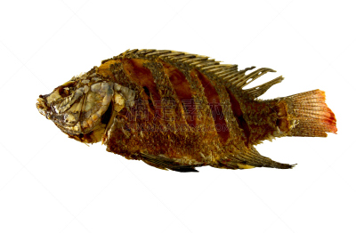 罗非鱼,格子烤肉,精神振作,热,晚餐,海产,清新,膳食,食品,图像