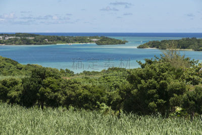 石垣岛,冲绳县,田地,甘蔗,海湾,纯净,色彩鲜艳,水湾,户外,晴朗