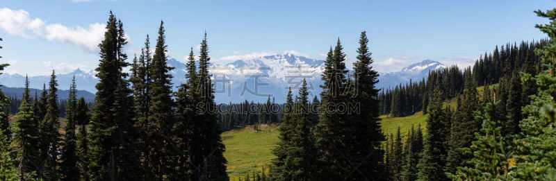 公元前,伽若巴蒂公园,全景,山脊,徒步旅行,清新,环境,加拿大,夏天,户外