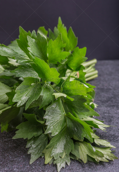 清新,叶子,拉维纪草植物,垂直画幅,膳食,夏天,户外,特写,芹菜,植物学