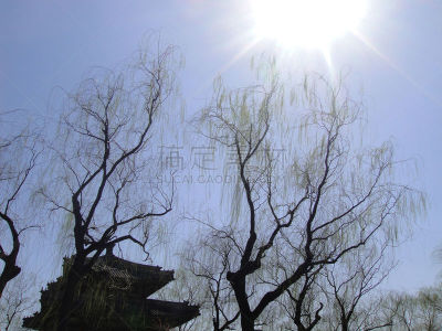 柳树,颐和园,天空,美,公园,水平画幅,山,昆明湖,树