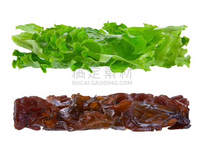 海洋,草本,甘蓝,沙拉,褐色,水平画幅,绿色,无人,curly howard,白色