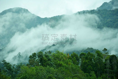 婆罗洲岛,沙巴州,雾,森林,野生动物保护区,水平画幅,山,林区,无人,哥打基纳巴卢