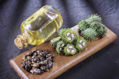 豆,黑色,蓖麻油,桌子,生物学,农业,甘油三酸酯,健康保健,自然界的状态,药