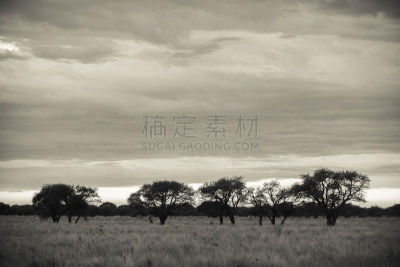 地形,潘帕斯大草原,高卓牛仔,户外,黄昏,天气,环境,图像,彩色图片,抽象
